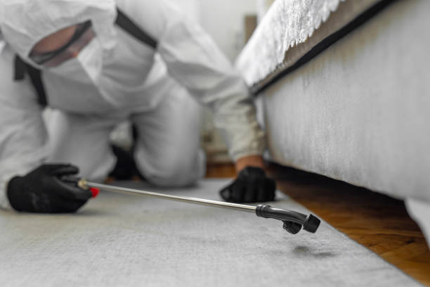 Professional Termite Control technician working in Pinellas County County, FL